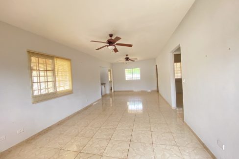 Copia de IMG_3407